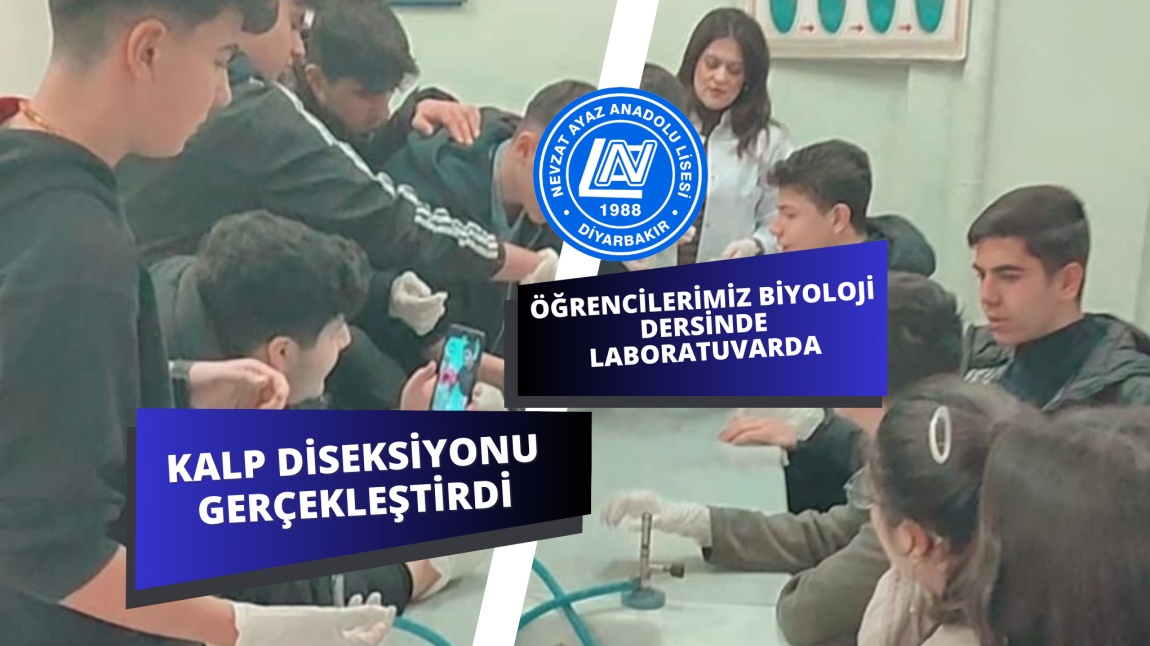 Öğrencilerimiz Biyoloji Dersinde Kalp Diseksiyonu Gerçekleştirdi